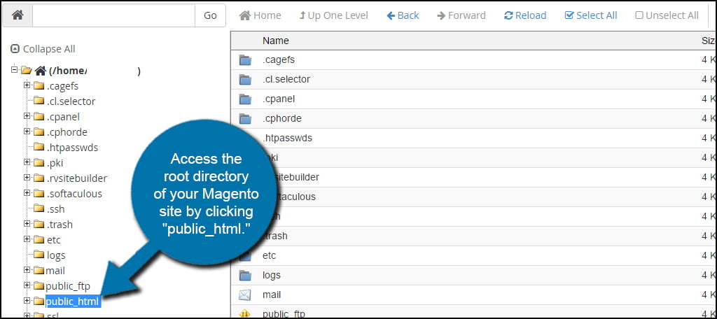 Access Magento