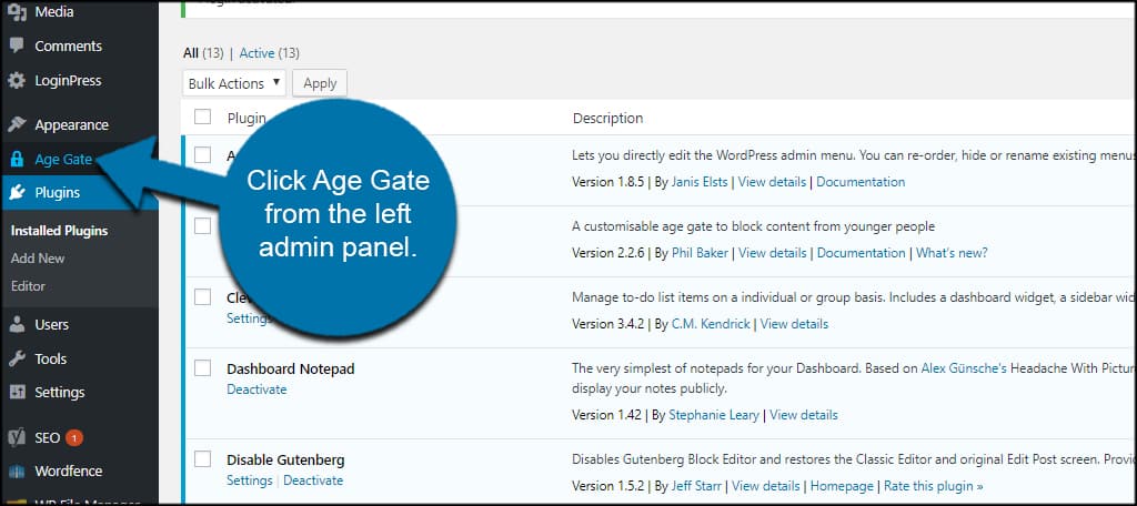 Age Gate Option