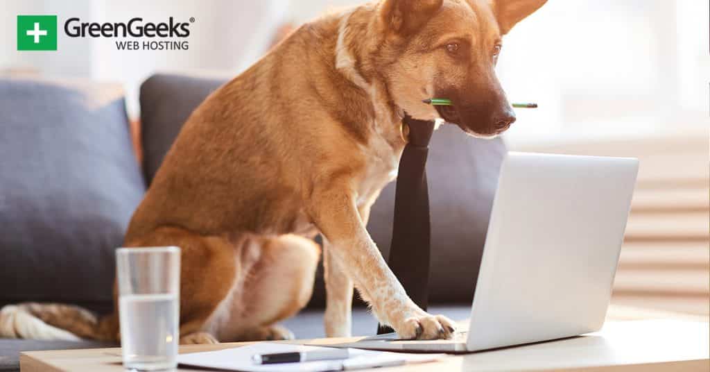 Create a Blog About a Dog