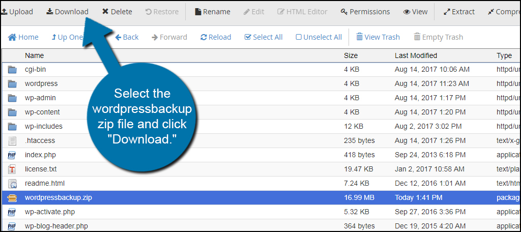 Download Zip File