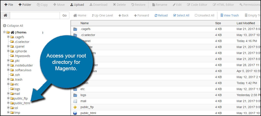 Magento Root