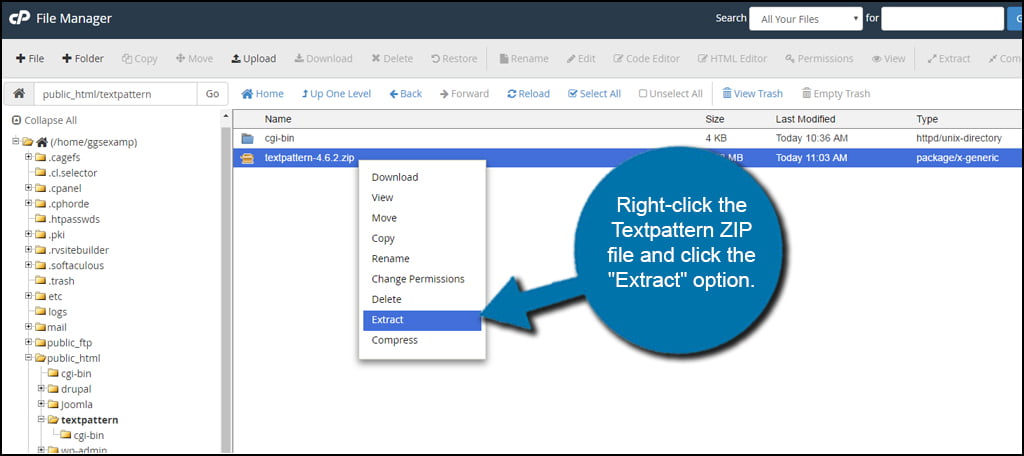 Textpattern Extract