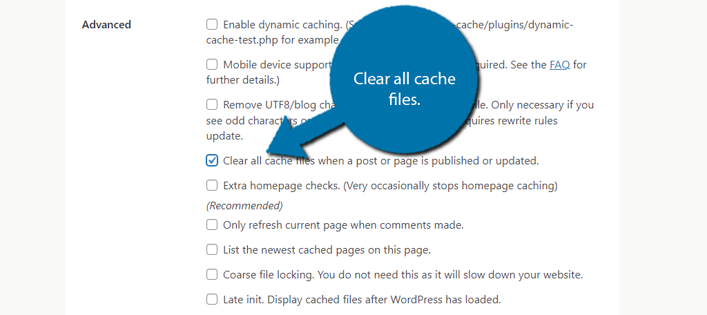 Clear Cache