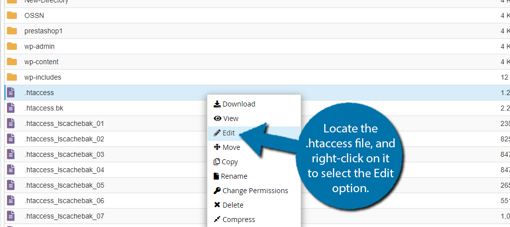 Edit the .htaccess file in WordPress