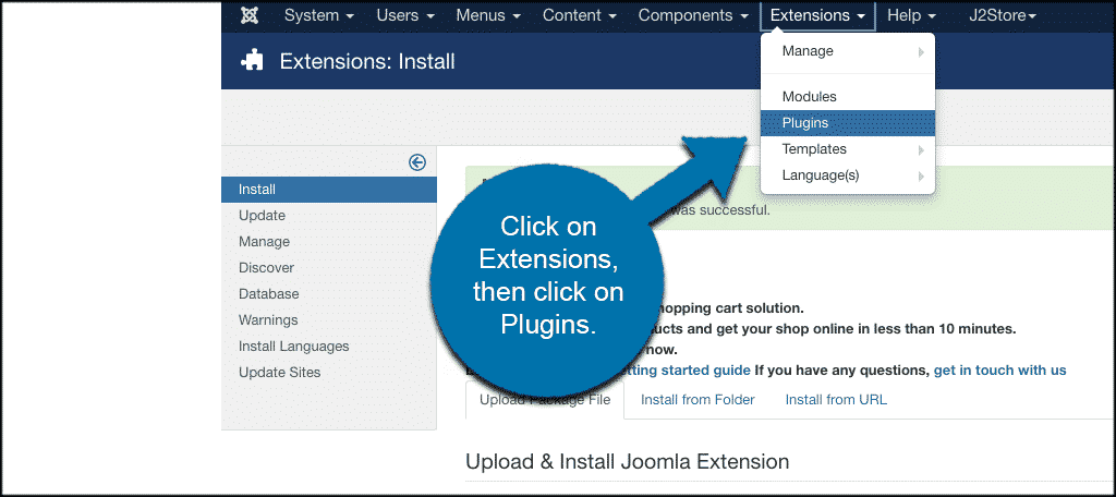 Click on extension then plugin