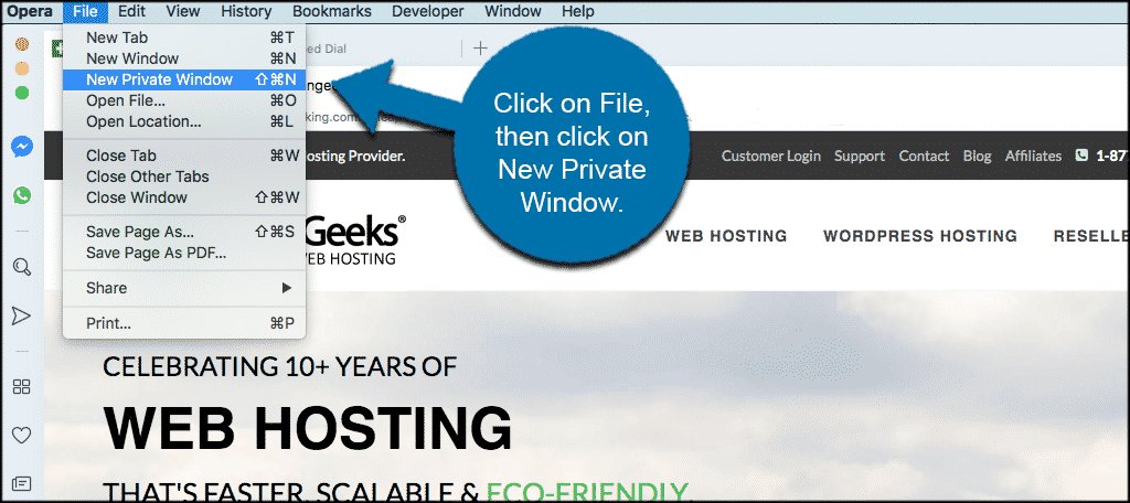 Click on file then new private window in the opera browser