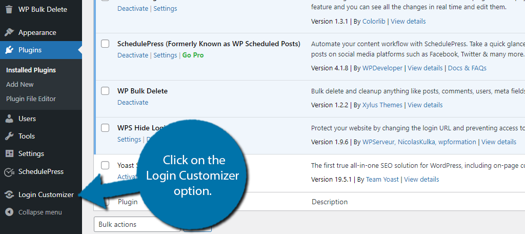 Login customizer