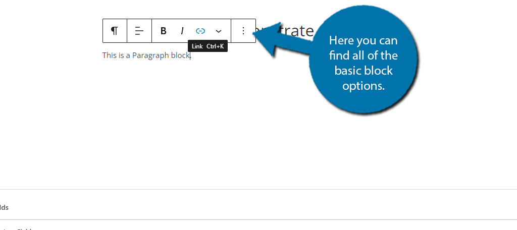 Paragraph Block WordPress