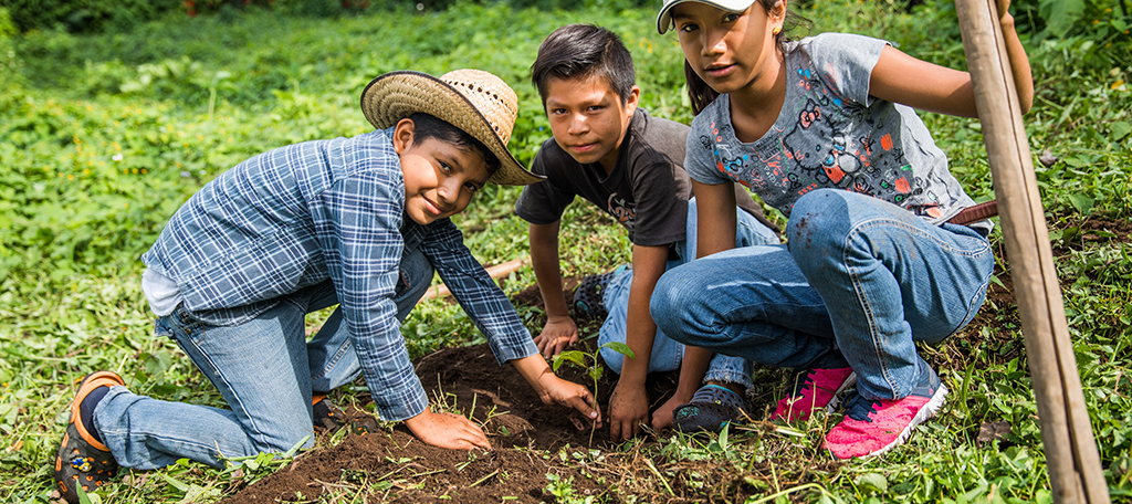 Plant A Tree