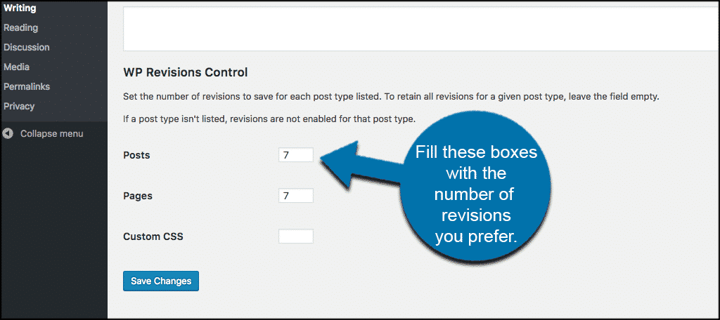 Fill the revisions control settings for custom post types